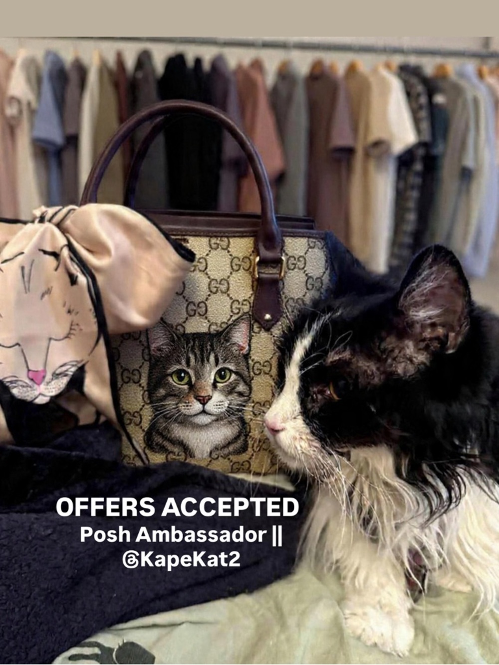 Meet your Posher, kapekat2